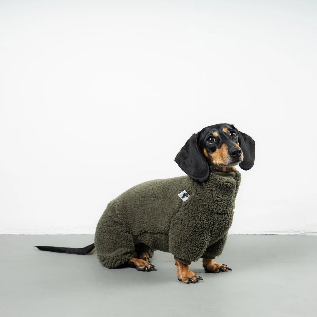 Karma Hund Teddy Overall DACKEL Olivgrün