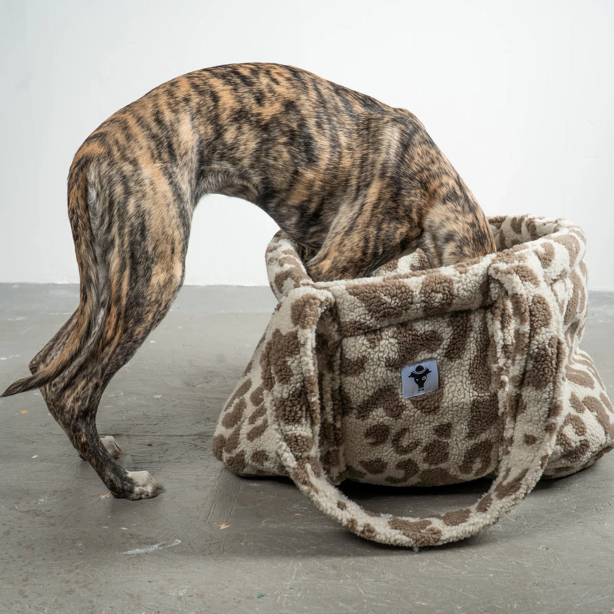 Karma Hund Teddy Shopper Leo Light