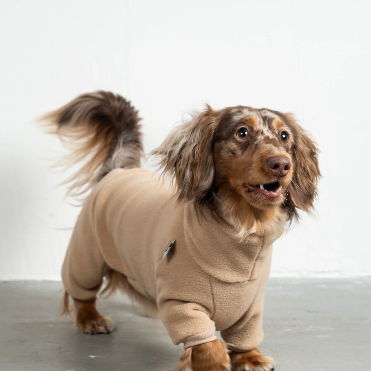 Karma Dog Overall DACHSHUND Camel