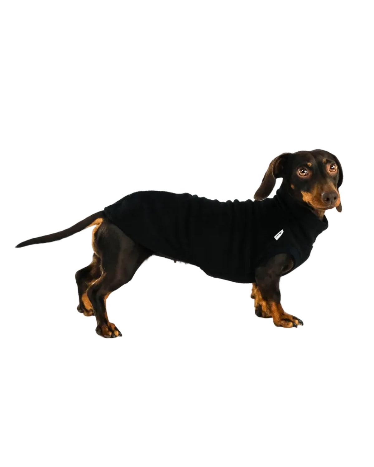 Karma Hund Fleece Shirt DACKEL Schwarz