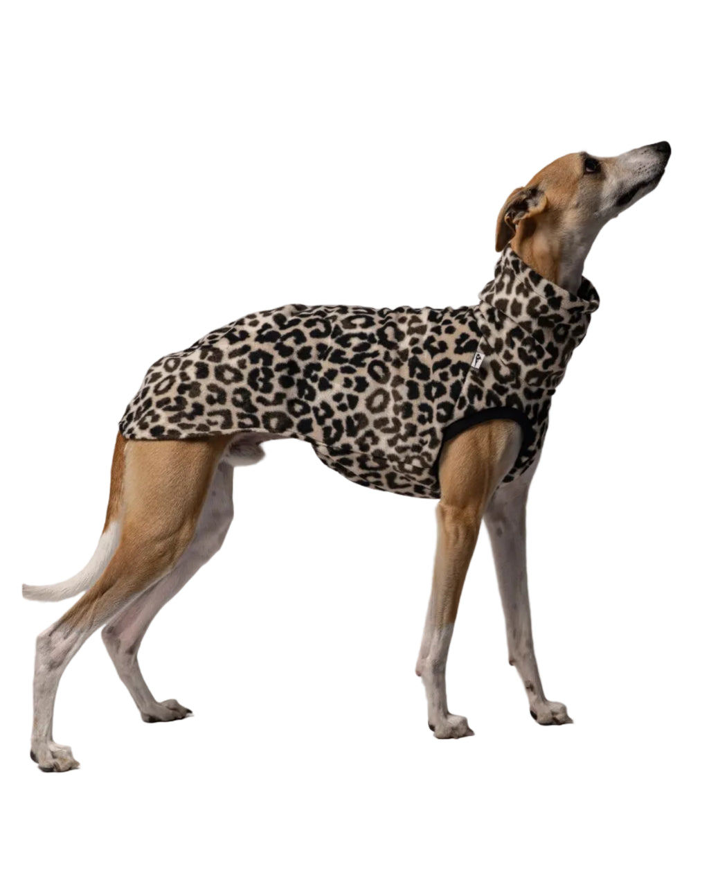 Karma Hund Fleece Shirt WINDHUND Leo