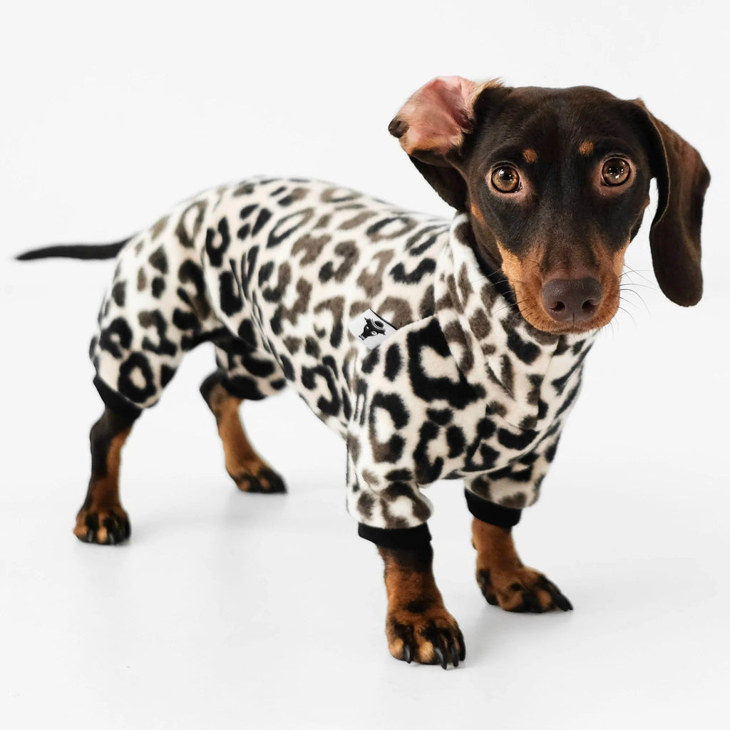 Karma Hund Overall DACKEL Leo