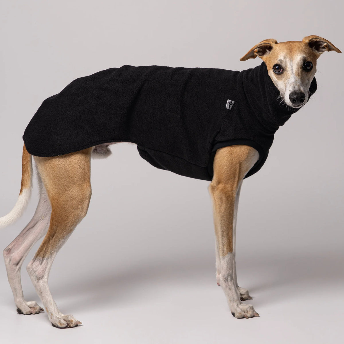 Karma Hund Sweat Shirt WINDHUND Schwarz