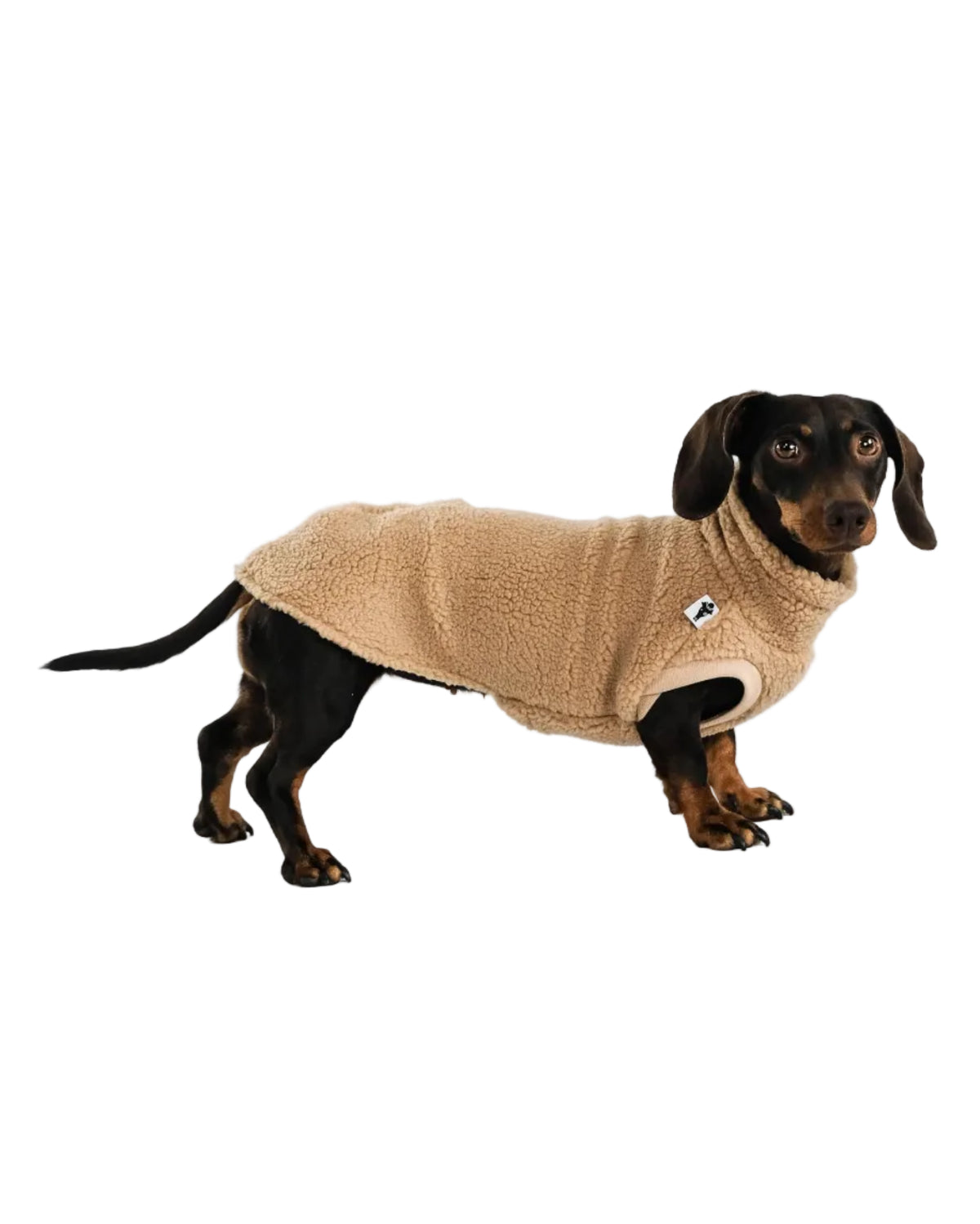 Karma Hund Teddy Shirt DACKEL Sand Beige