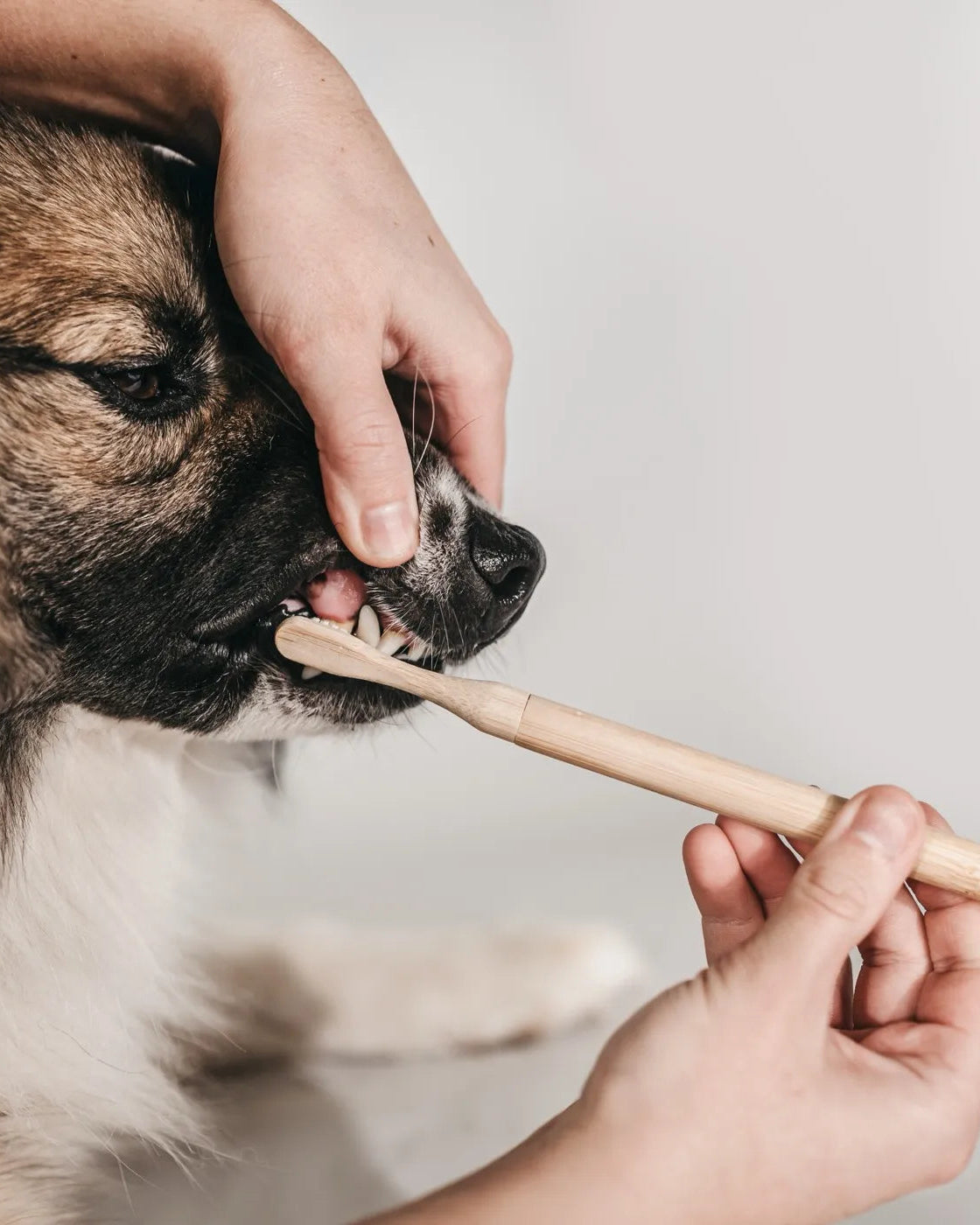 LILA LOVES IT Bamboo Toothbrush (with replaceable heads)