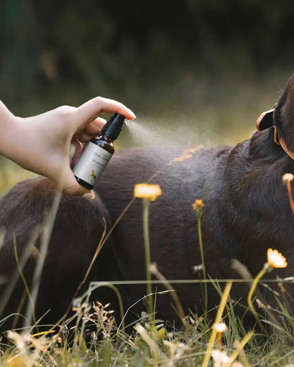 LILA LOVES IT Silver Spray