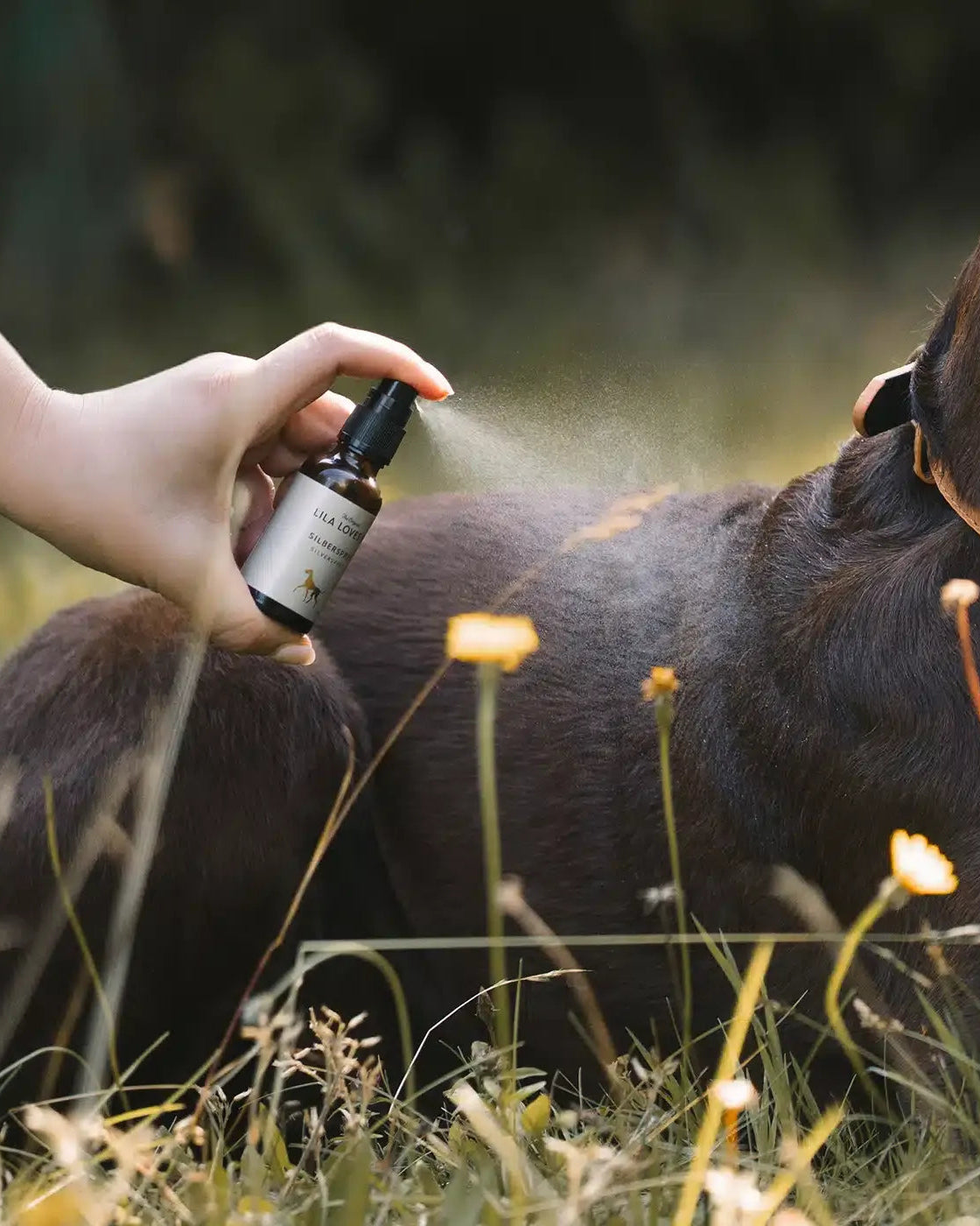LILA LOVES IT Silver Spray