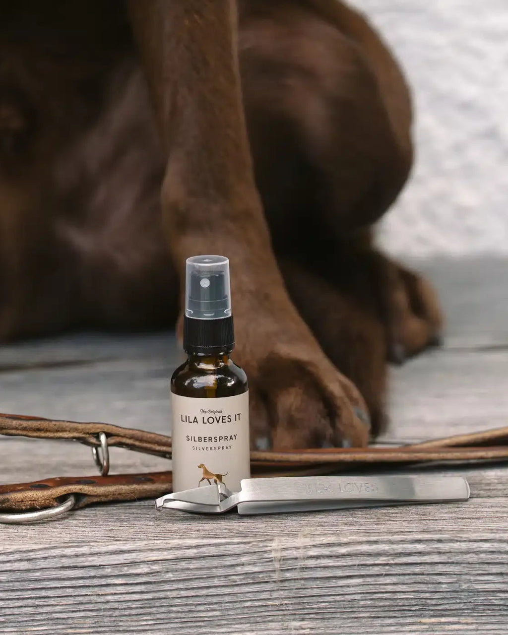 LILA LOVES IT Silver Spray