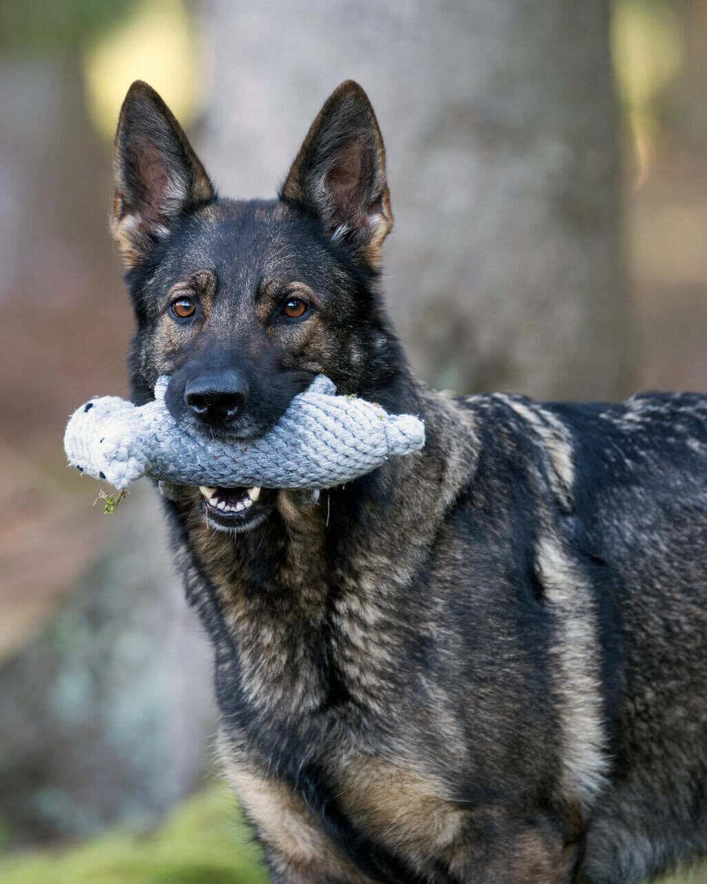 Laboni Dentalspielzeug Nina Nilpferd