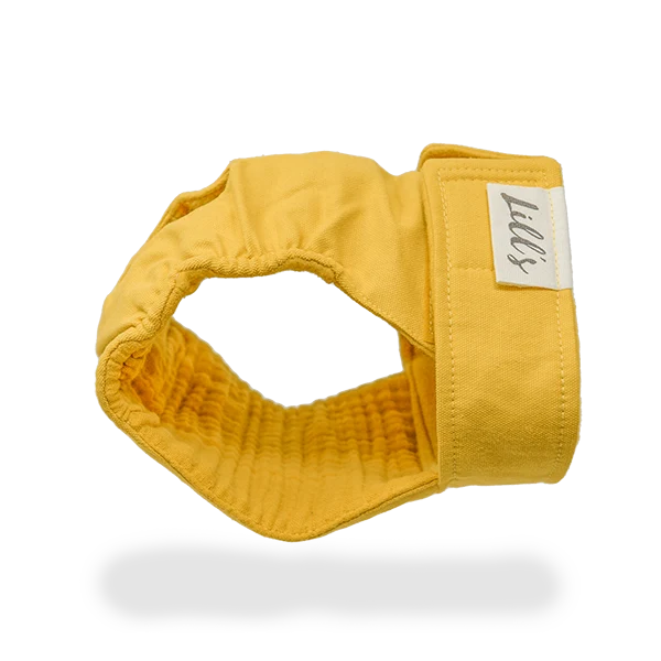Lill's Läufigkeitshose Lou Amber