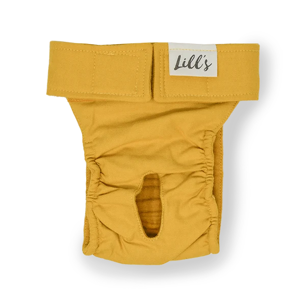 Lill's Läufigkeitshose Lou Amber