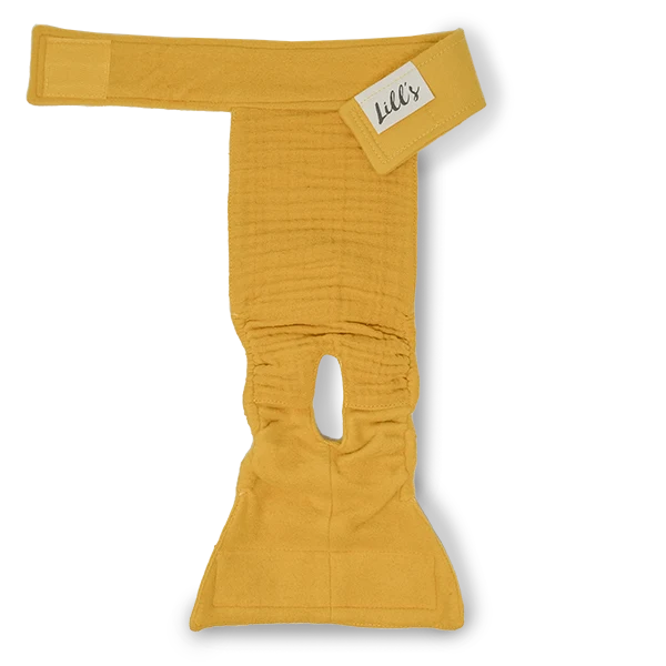 Lill's Läufigkeitshose Lou Amber
