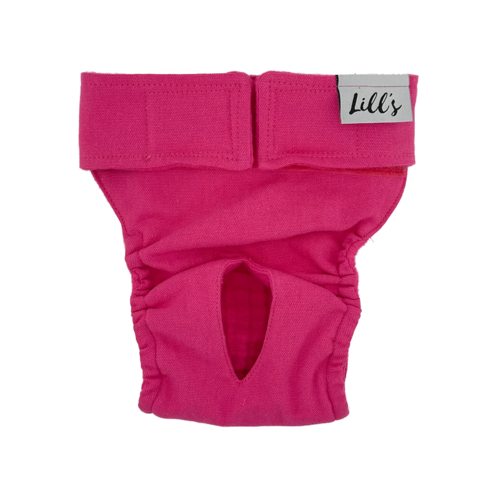 Lill's Läufigkeitshose Lou Beetroot