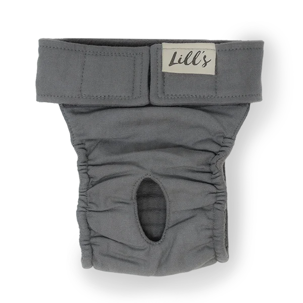Lill's Läufigkeitshose Lou Stone Grey