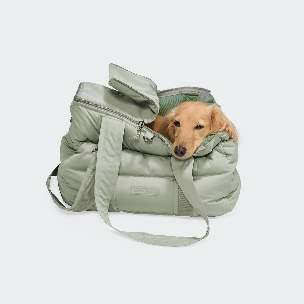 CLOUD7 Hundetasche Montreal 2.0 Dusty Mint