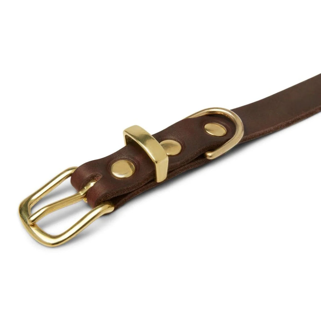 Molly and Stitch Hundehalsband Butter Klassisches Braun