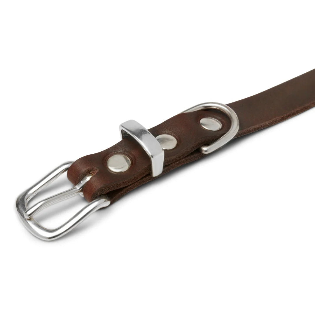 Molly and Stitch Hundehalsband Butter Klassisches Braun