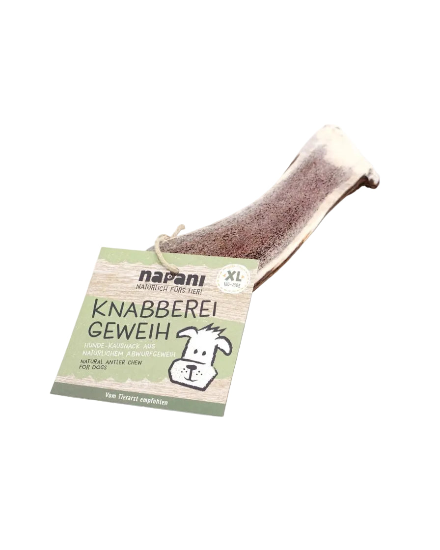 Napani Hirschgeweih