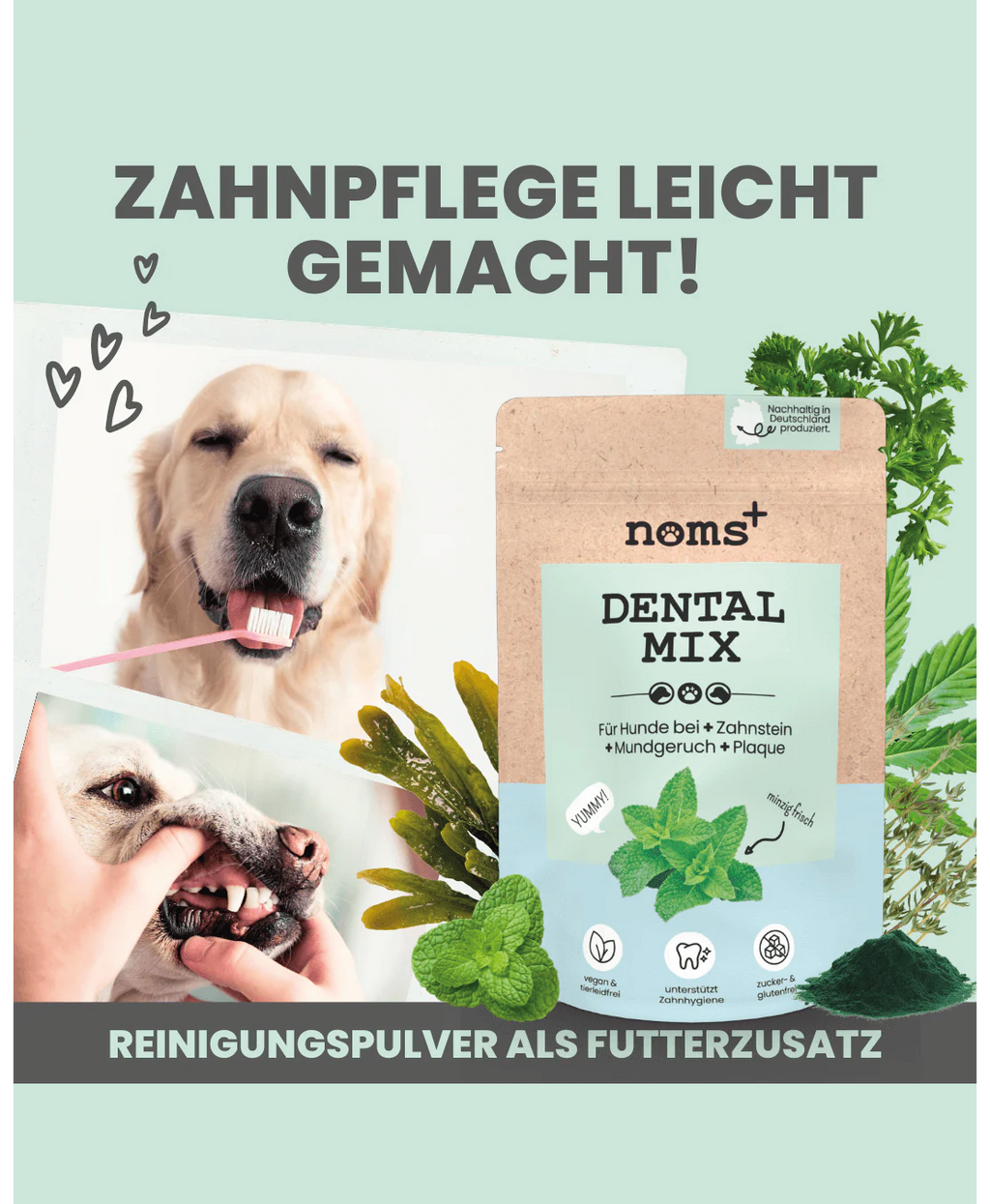 Noms+ Dentalmix