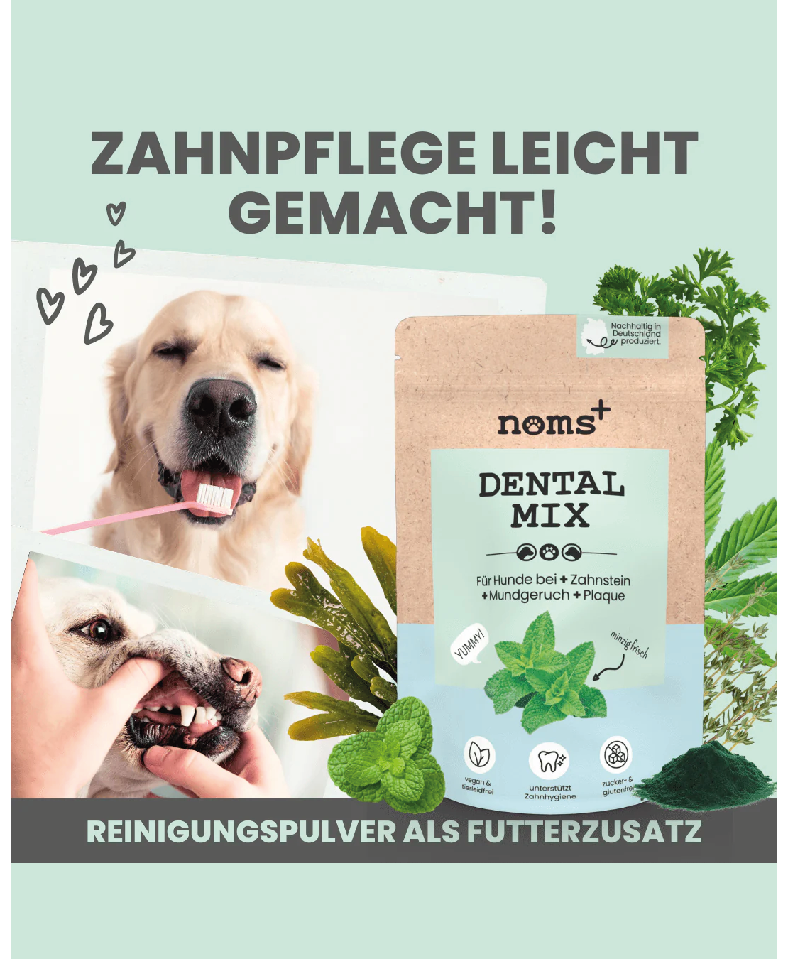 Noms+ Dentalmix