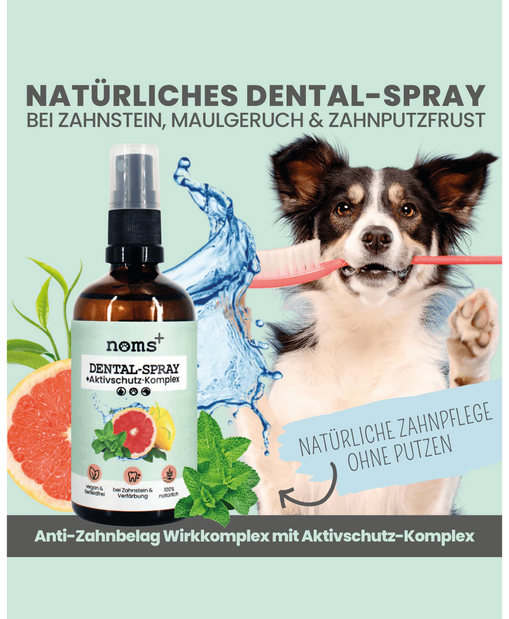 Noms+ Dental Spray
