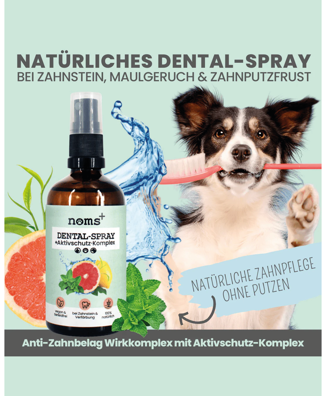 Noms+ Dental Spray