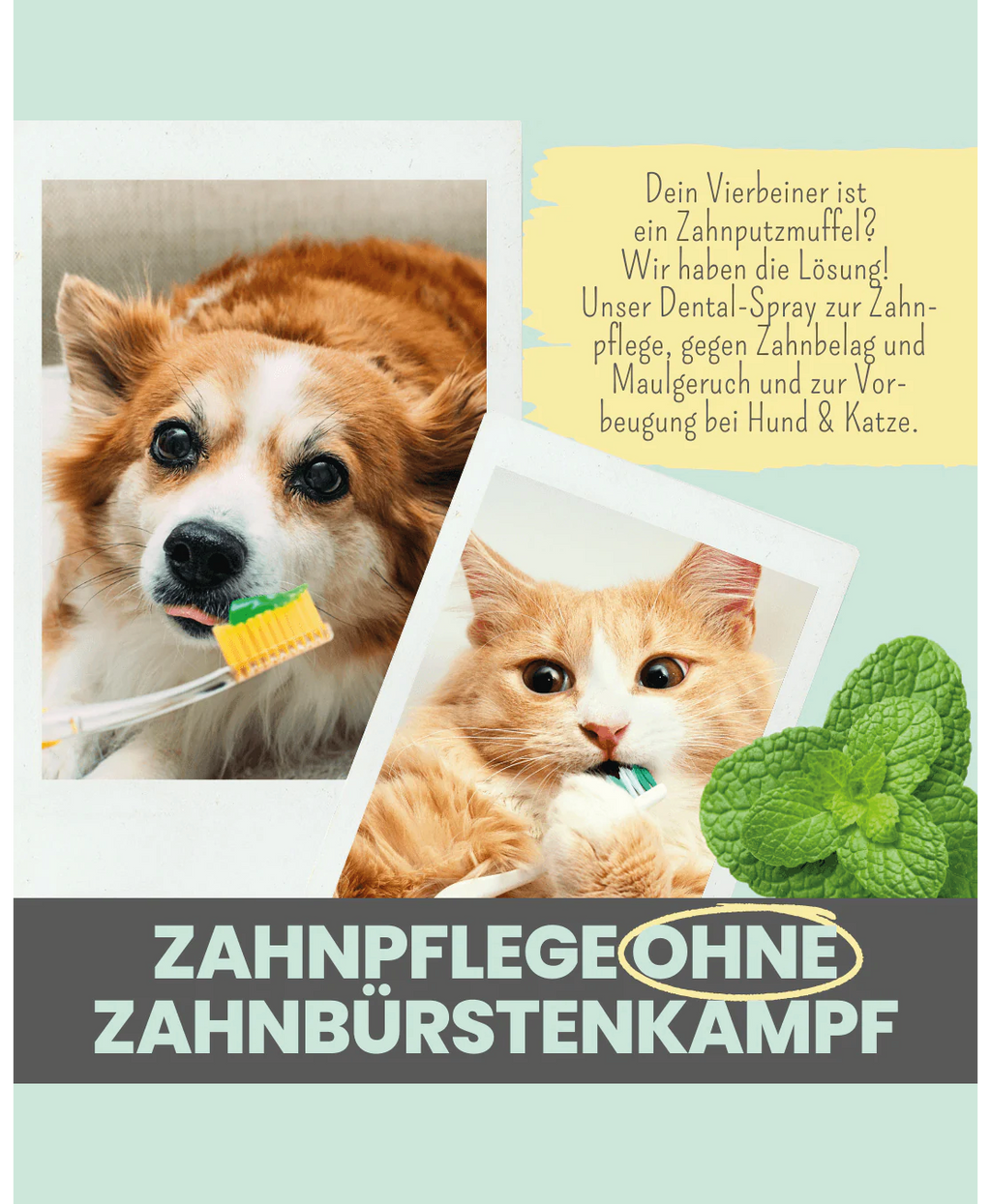 Noms+ Dental Spray