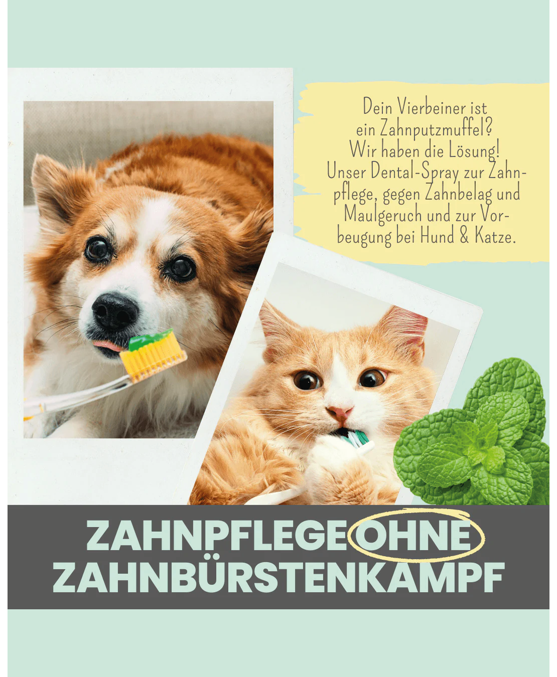 Noms+ Dental Spray