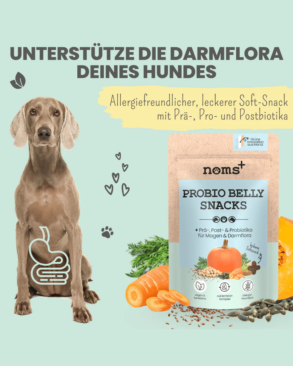 Noms+ Snacks Probio Belly