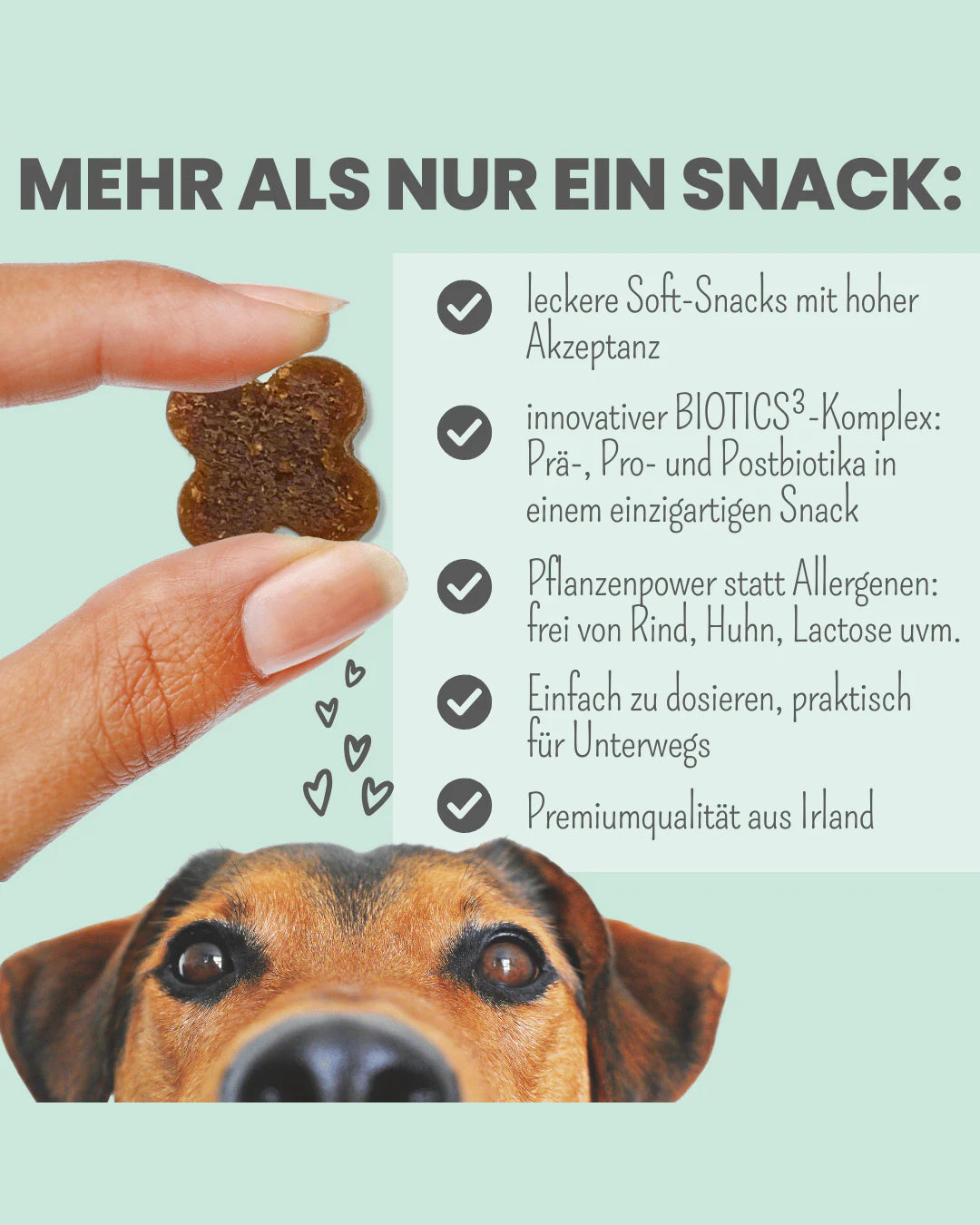 Noms+ Snacks Probio Belly