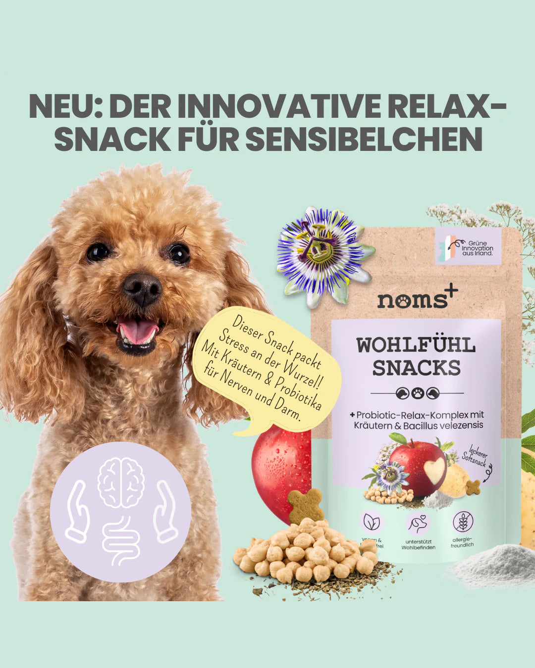 Noms+ Well-being Snacks