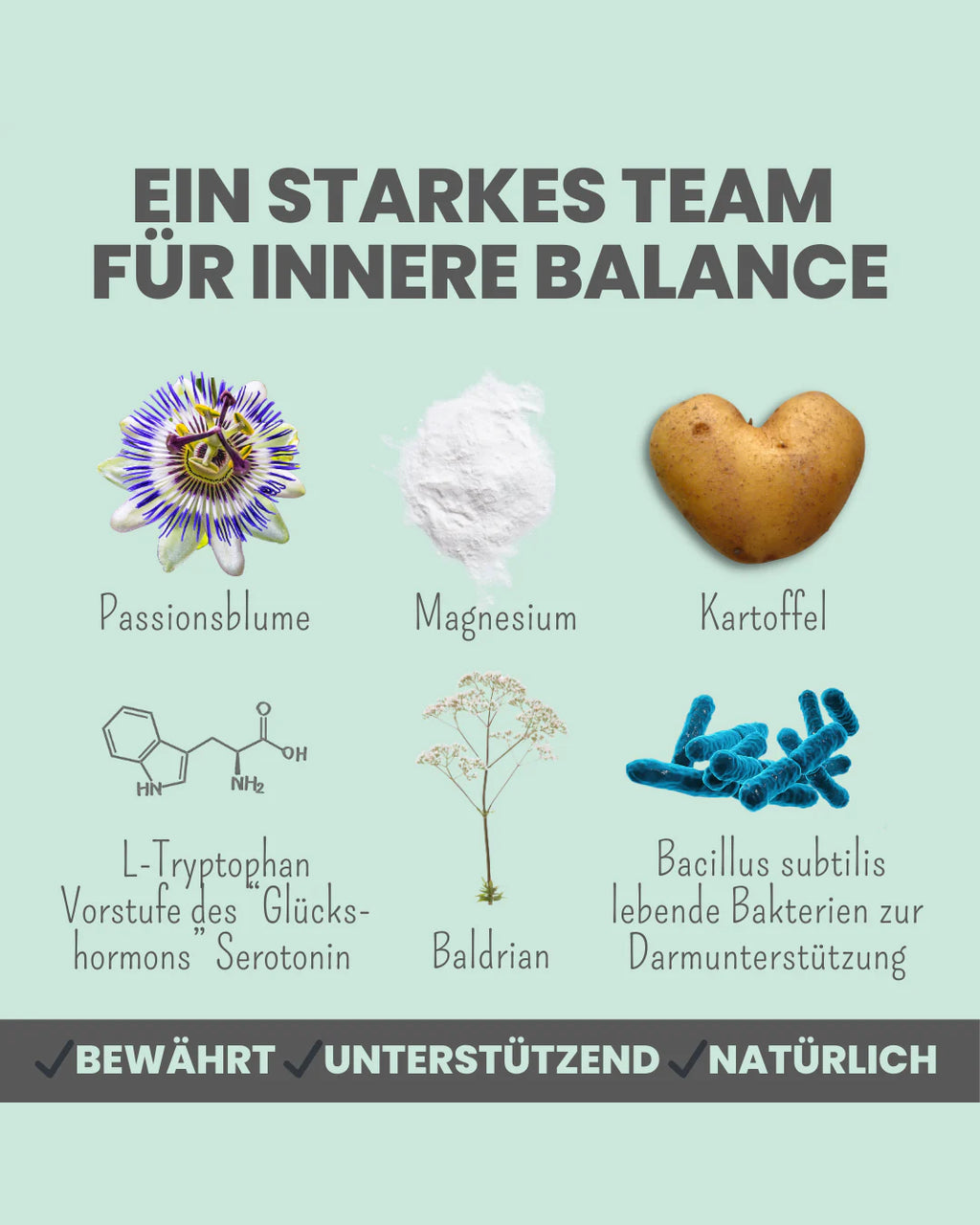 Noms+ Well-being Snacks