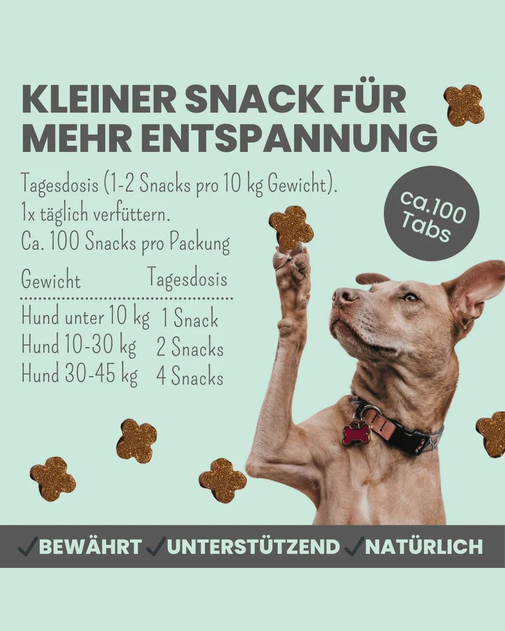 Noms+ Well-being Snacks