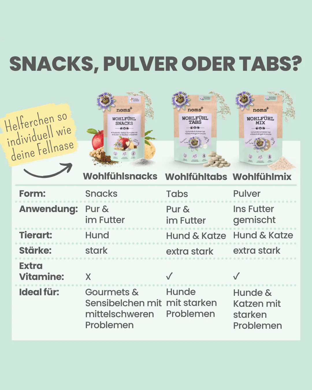 Noms+ Well-being Snacks