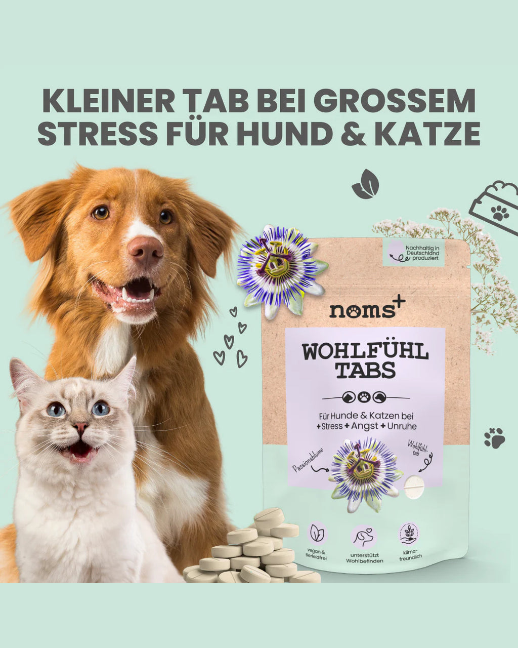 Noms+ Wellness Tabs