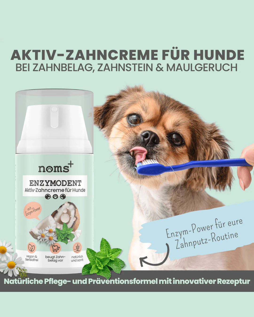 Noms+ Enzymodent Toothpaste