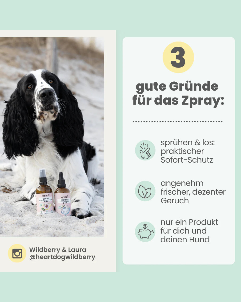 Noms+ Zspray