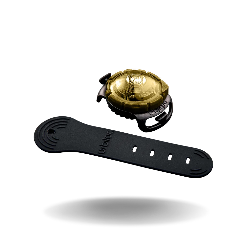 Orbiloc Safety Light Dog Dual