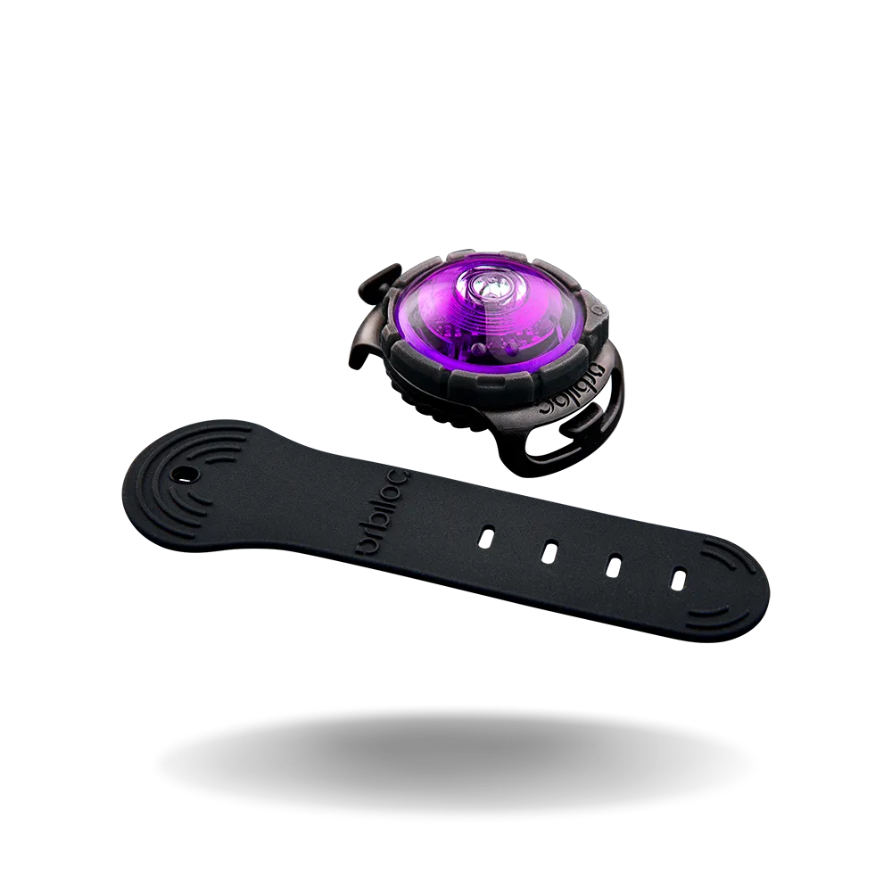 Orbiloc Safety Light Dog Dual