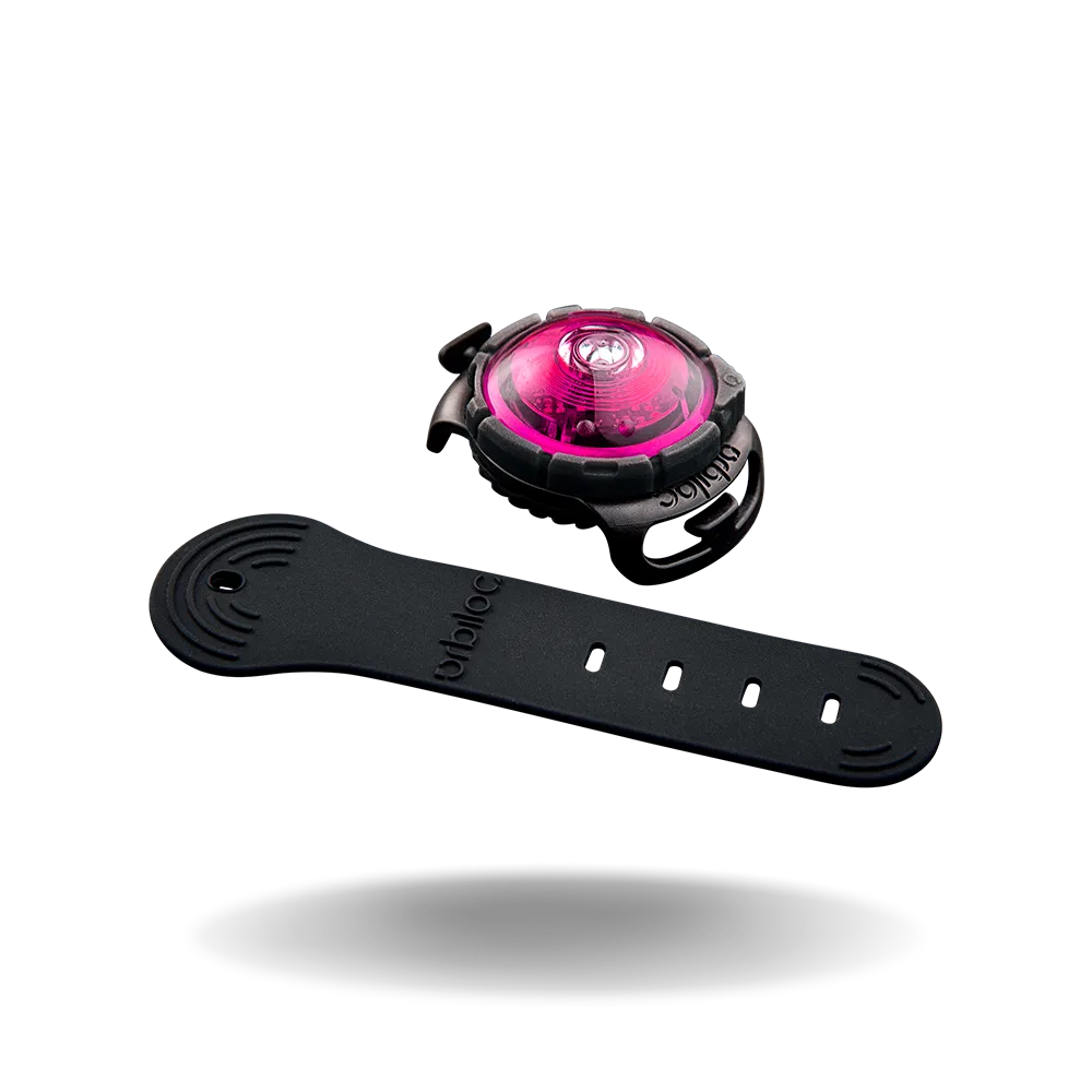Orbiloc Safety Light Dog Dual