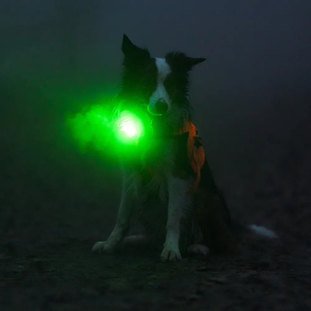 Orbiloc Leuchtanhänger Dog Dual