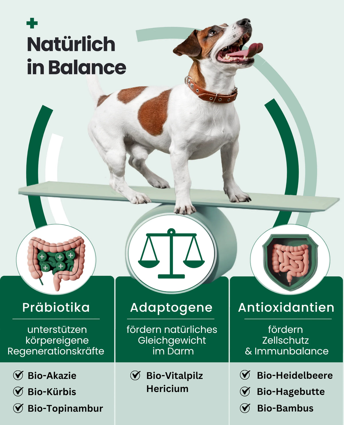 PAWSAN Bio Darmtabletten