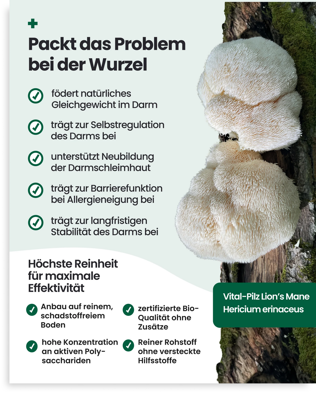 PAWSAN Bio Darmtabletten