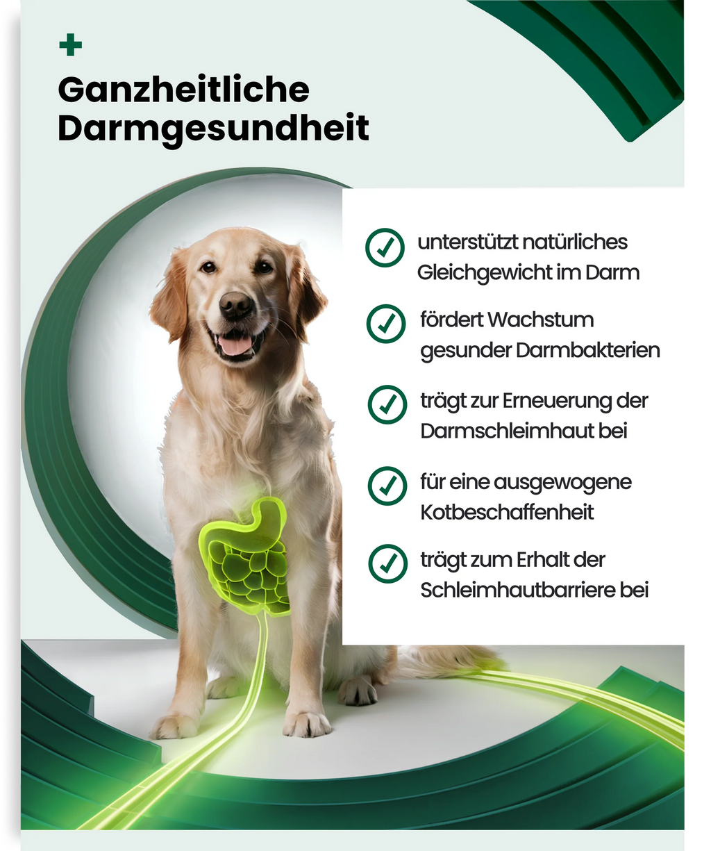 PAWSAN Bio Intestinal Tablets