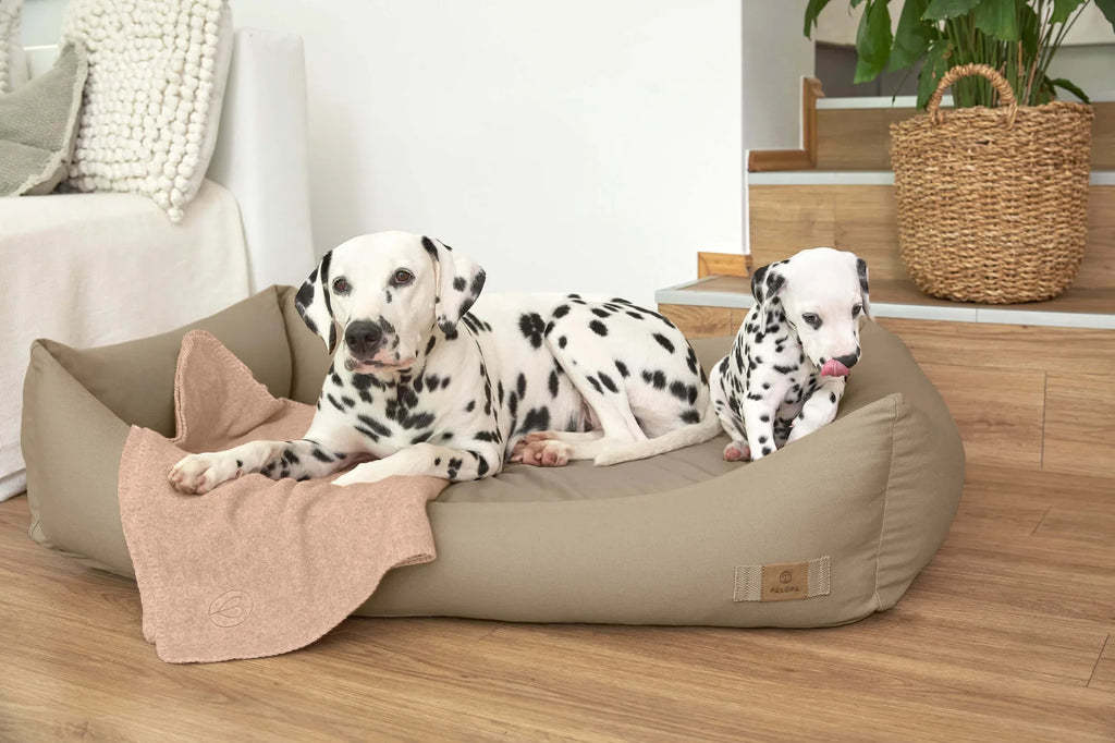 Palopa Hundebett Orthopädisch Fred Humus