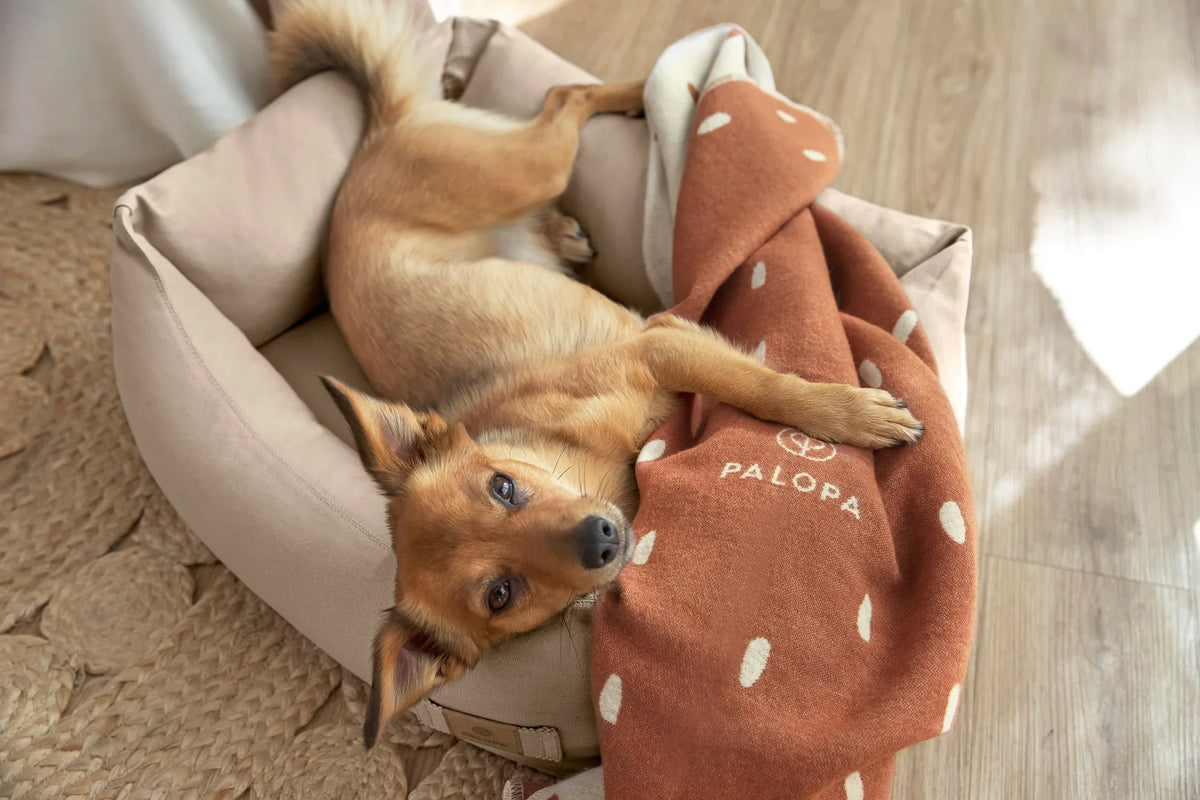 Palopa Hundebett Orthopädisch Fred Humus