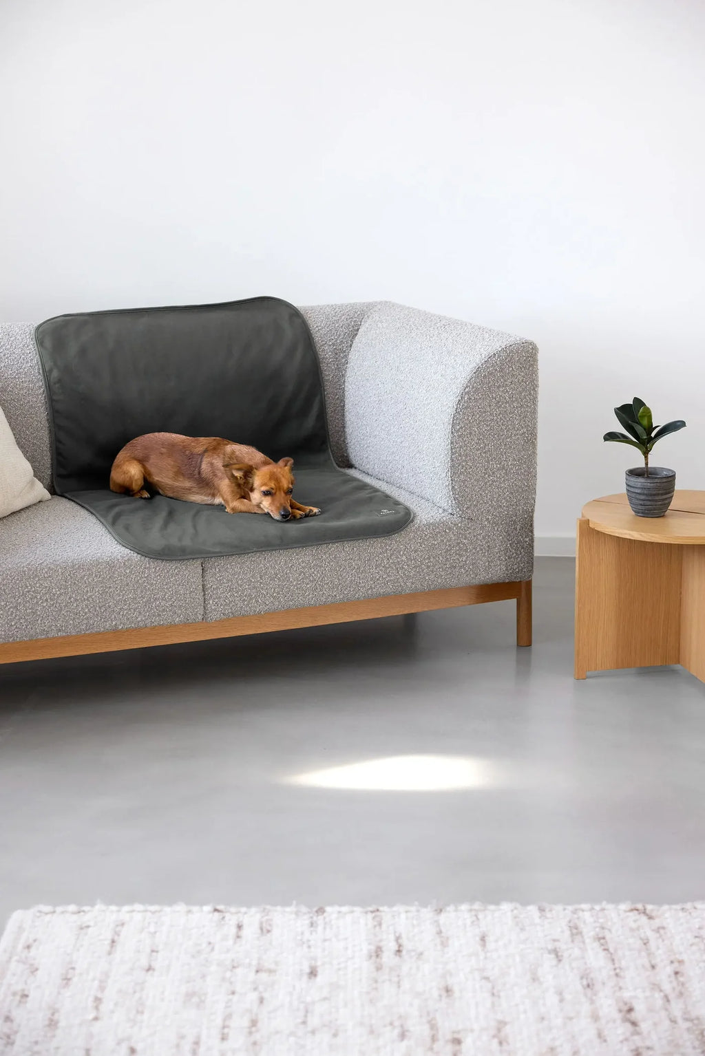 Palopa Hundedecke Protection Benti Anthrazit