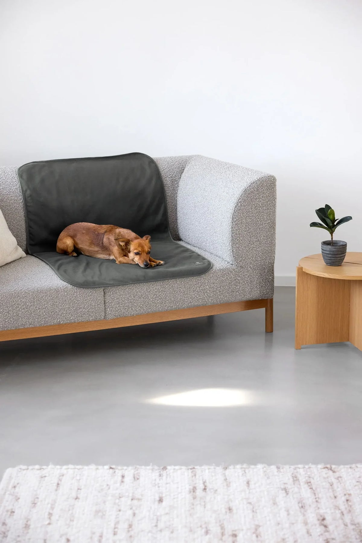 Palopa Hundedecke Protection Benti Anthrazit