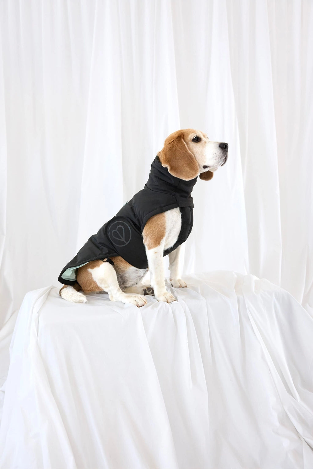 Palopa Hundemantel Nolia DACKEL Schwarz (Lang)