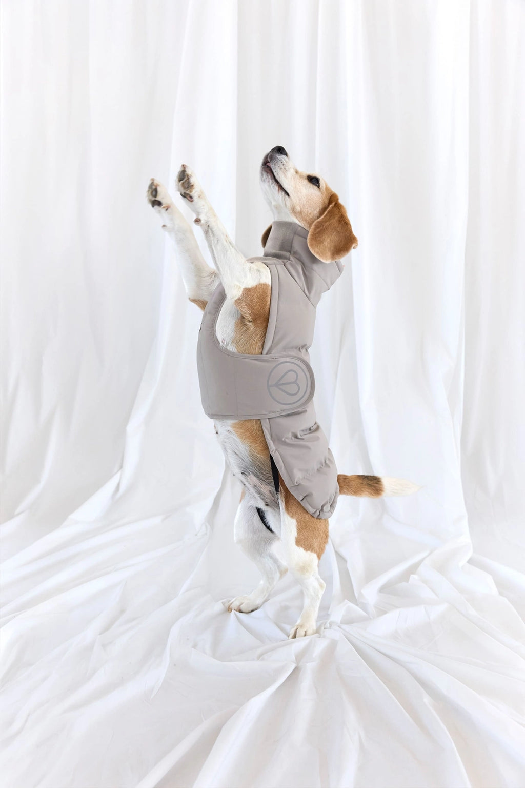 Palopa Hundemantel Nolia DACKEL Taupe (Lang)